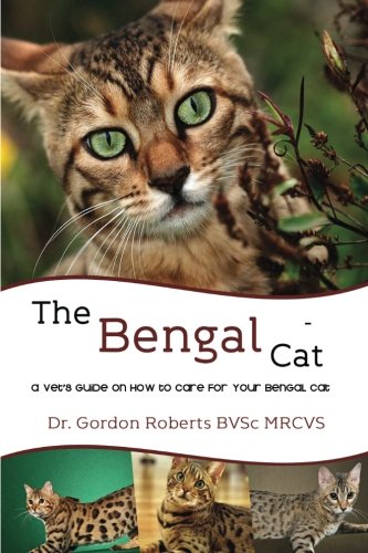 The Bengal Cat: A vet's guide on how to care for your Bengal cat