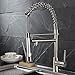 Fapully Contemporary Spring Single Handle Kitchen Sink Faucet with Pull Down Sprayer, Brushed Nickel