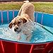 EXPAWLORER Foldable Dog Swimming Pool - Portable PVC Pet Bathing Tub for Outdoor Yard, Dog Whelping Box