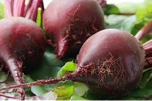 FOR THE GOURMET Fresh Large Red Beets - Bulk Avg 10 Lb Case, Premium Red Beets for Gourmet Chefs and Culinary Lovers
