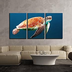 3 Piece Canvas Wall Art - Sea Turtle Swiming Under The Ocean - Modern Home Art Stretched and Framed Ready to Hang - 16"x24"x3 Panels
