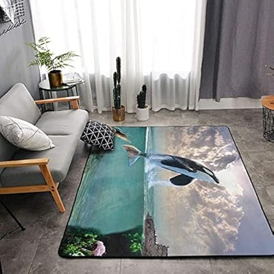 Lzhengsi Super Soft Modern Carpet Killer Whale Print Area Rug Living Room Carpet Bedroom Rug Yoga Mat Easy to Clean for… 51abSn0NcHS