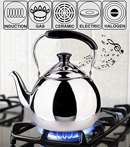 ROYDOM Whistling Tea Kettle Stainless Steel Teapot, 2-Liter Teakettle for Stovetop Induction Stove Top, Fast Boiling Heat Water Tea Pot Maker 2.1-Quart