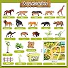 Buyger-58-Pieces-Animals-Toys-for-Kids-Zoo-Animal-Figures-Realistic-Wildlife-Toy-Activity-Play-Mat-Carry-Case-Gift-for-3-year-old-Boy-Girl BUYGER Large Size Jungle Wild Animal Figures Toys Set, Realistic Zoo Safari Figure Animal Playset with Play Mat Assemble…