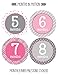 Months in Motion Baby Monthly Stickers - Baby Milestone Stickers - Newborn Girl Stickers - Month Stickers for Baby Girl - Baby Girl Stickers - Newborn Monthly Milestone Stickers (Set of 12 Stickers)