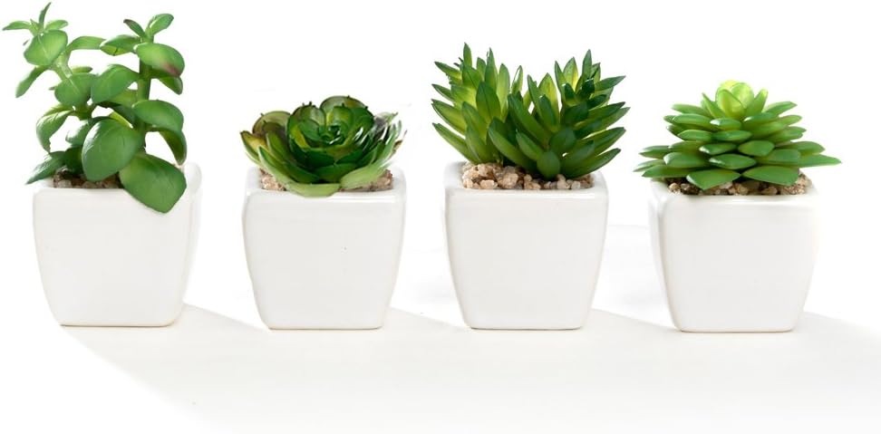 Nattol Small Artificial Succulent Plant Potted in White Ceramic Pots for Home Decor, Set of 4: Home & Kitchen