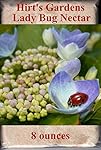 Hirt's Gardens Ladybug Nectar - 8 Ounces - Attracts and Keeps Beneficial Insects in the Garden