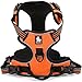 Chai's Choice Best Outdoor Adventure Dog Harness (X-Small, Orange)