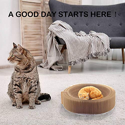 Cat cardboard bowltype cardboard scratcher, cardboard cat scratcher