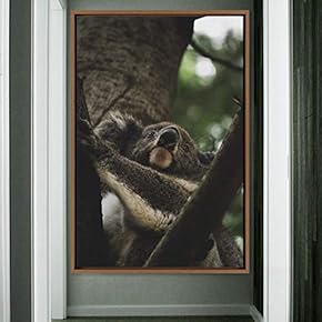 signwin Framed Canvas Wall Art Koala Bear Animals...