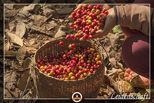 Kaffeespezialität Aus Südamerika - Galapagos, Dem Speziellen Ökosystem Der Inseln (1000 Gramm,Ganz Bohne) - Länderkaffee… – Bild 5
