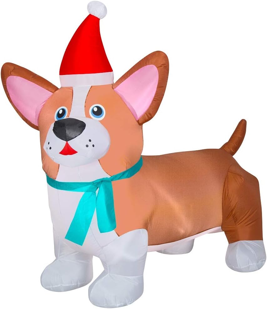 coolest dogs in the world