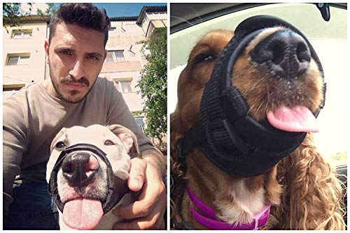 Nylon Dog Muzzle for Small,Medium,Large Dogs Prevent from Biting,Barking and Chewing,Adjustable Loop(M/Black)