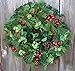 The Wreath Depot Aurora Winter Wreath, 24 Inches, Designer Full Artificial Winter Wreath Enhances Front Door Decor, White Gift Box Included