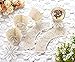 YOZATIA 60PCS Ivory Cupcake Wrappers, Lace Cupcake Liners Laser cut Cupcake Papers for Wedding/Birthday Party Decoration (ivory)