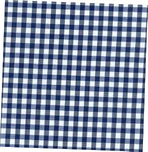 blue gingham flannel