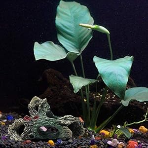 YOUTHINK Legni Arredo per Acquario,Acquario Legno Acquario Ornamento Artificiale Tronco in Resina Grotta per Acquario…