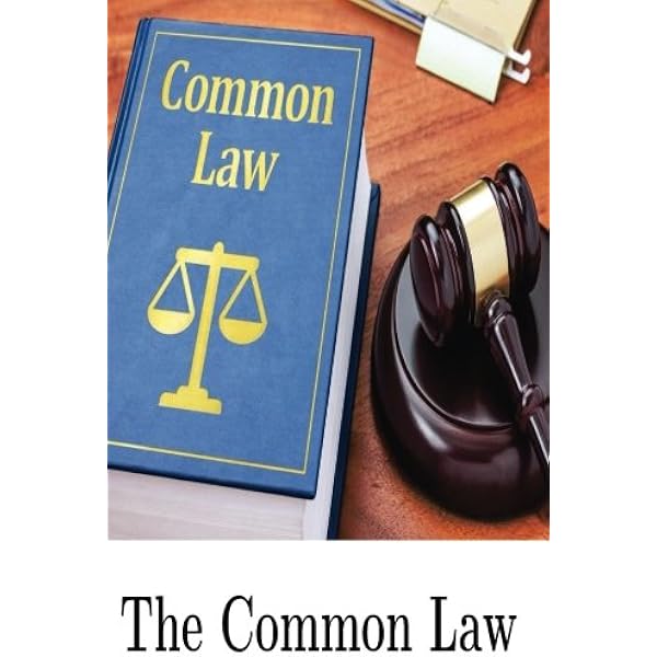 The Spirit of the Common Law: Pound, Roscoe: 9781560009429: Amazon