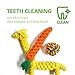 SHARLOVY Puppy Teething Chew Toys,Dog Toys 16 Pack Pea Shaped Rubber Bone Dog Chew Toys for Teeth Cleaning Puppy Toys for Small Dog Toys Squeaky iq Treat Ball Dog Toys Tug of War Durable Pet Toys