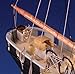 Model Shipways Civil War Harriet Lane Gunboat 3/32 Scale Blockade Runner Wood Kit - Model Expo - ON SALE!