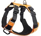 Paws & Pals Pet Harness for Dogs Cats - No-Pull Durable Padded Nylon Mesh Vest - Easy Secure Control (Large, Orange)