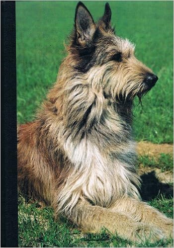 Amazon Fr Mon Compagnon Le Chien Volume 3 De Berger Allemand A Berger Picard Collectif Livres