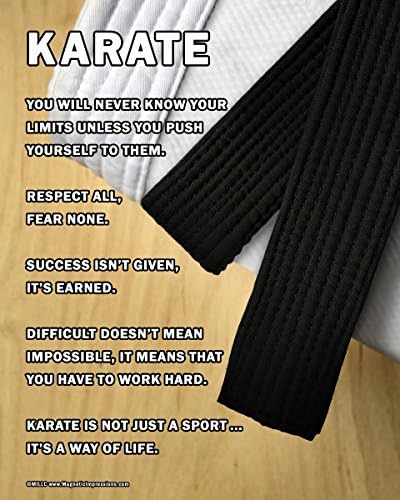 Unframed Karate 8” x 10” Sport Poster Print
