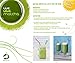 Matcha Green Tea Powder Organic, Perfect for Matcha Lattes, Smoothies, Baking, Premium Culinary Grade, 100gms (3.5oz)