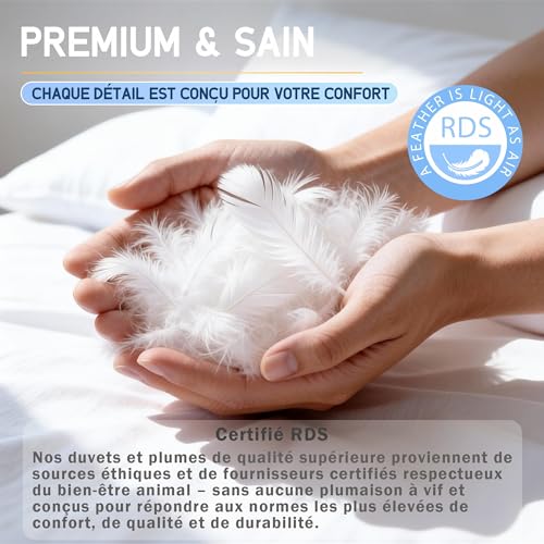 CloudÉtoile Luxury Feather Pillow 50 x 70 cm – 50 x 70 cm Hotel Quality Down and Feather Pillow – Comfort Feather Sleep Pillows 3 Chambers Oeko-Tex Certified – Sleep Like on the Clouds