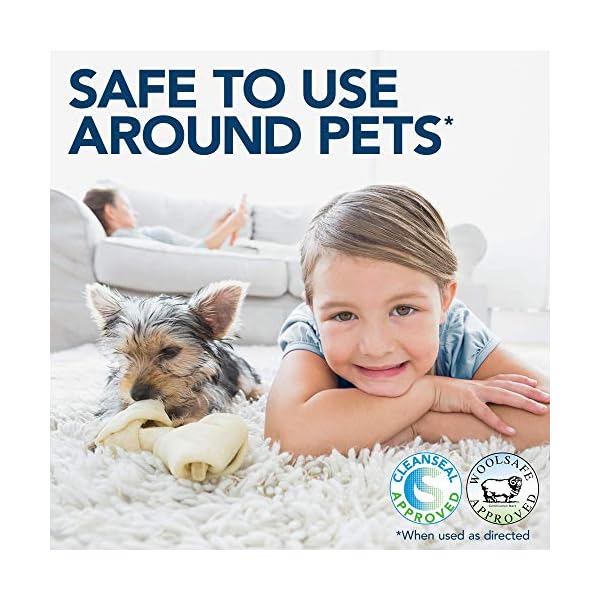 Simple Solution Extreme Pet Stain and Odour Remover | Enzymatic Cleaner with 3X Pro-Bacteria Cleaning Power - 945ml