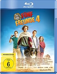 Fünf Freunde 4
