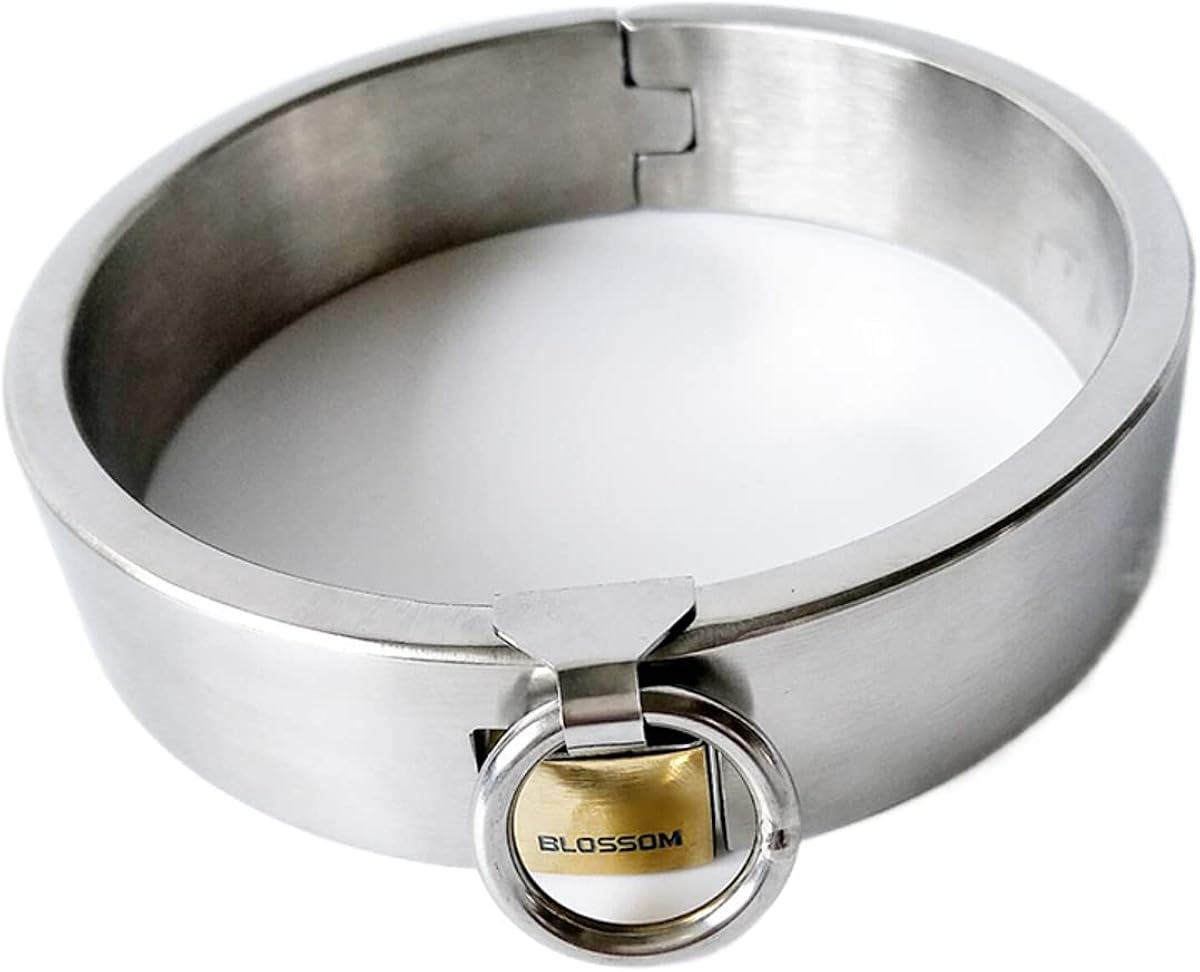 ZIPMAGIC Stainless Steel Choker Fashion Collar Men tourques Lockable