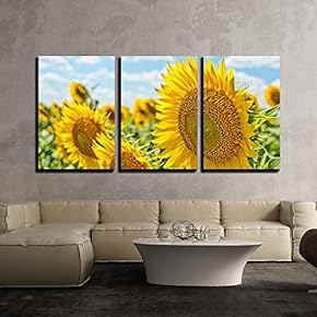 3 Piece Canvas Wall Art - Beautiful Field with Sunflower - Modern Home Art Stretched and Framed Ready to Hang - 16"x24"x3 Panels