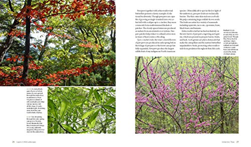The Living Landscape: Designing for Beauty and Biodiversity in the Home Garden