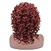 Mildiso Wigs for Black Women Short Curly Wig Afro Kinkys Curly Wigs African American Women wigs Red Wigs with Wig Cap M024