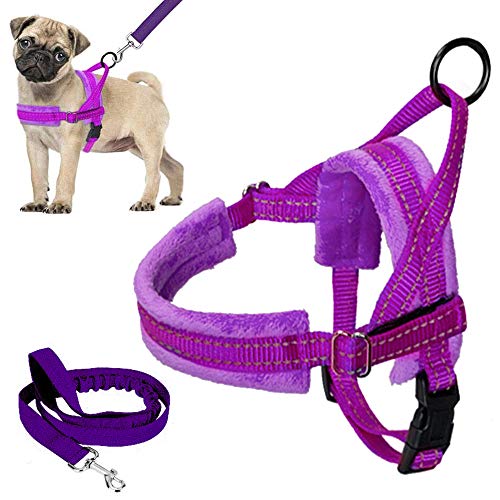 pidog dog harness