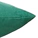 PONY DANCE Blue Velvet Pillow Covers Couch Soft Rectangle Cushion Cover Sham for Chair/Sofa/Bed Including Hidden Zipper Design, Peacock Blue, 12 x 20 (30 x 50 cm), Set of 1