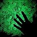 Whonline 200 Pcs Artificial Green Glow Pebble for Garden Decoration