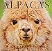 Alpacas 2019 Wall Calendar
