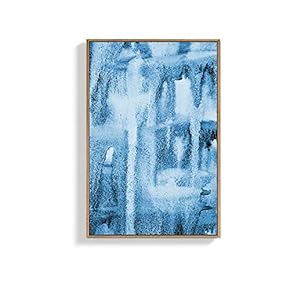 Framed Canvas Wall Art for Living...