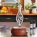 ArOmis Aromatherapy Diffuser - (Orbis Nox Vitis) Premium Wood & Glass Essential Oil Nebulizer - Professional Grade Waterless Diffuser - No Heat No Plastics