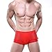 Welltogther Mens Ice Silk Boxer Briefs Breathable Panties Underwear