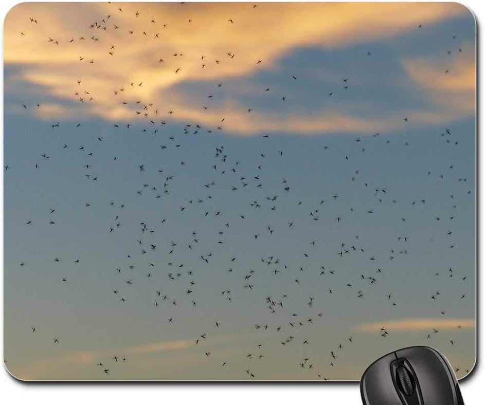 amazon com mouse pad rave swarming mosquito swarm swarm mosquitoes office products amazon com