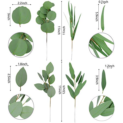 Miracliy 12 PCS Artificial Eucalyptus Stems, Mixed Eucalyptus Leaves