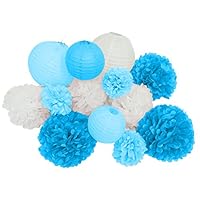 Paper Jazz 13pcs decorative paper pom pom lantern for wedding birthday baby shower graduation meeting event party decoration (BLUE WHITE)