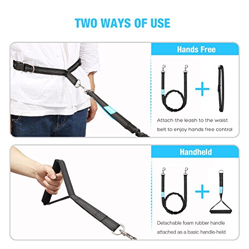 Pecute Hands Free Dog Leash with Extra Foam Handle - Extendable Bungee with Reflective Stitching - Waist Belt Adjustable Fits up to 48” Waist - For Jogging, Running, Hiking (Black and Blue)