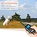 iPetDog Dog Training Collar Dog Shock Collar with Remote 330yd Rechargeable Vibration E Collars for Dogs (Black)