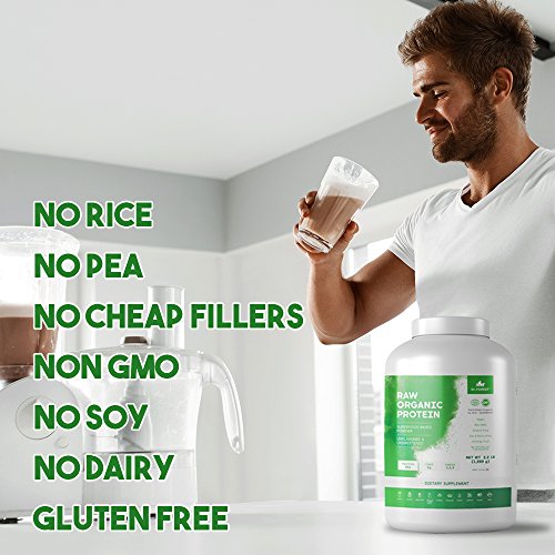 Dr. Forest Organic Hemp Protein Powder 2.2 lbs For Shakes and