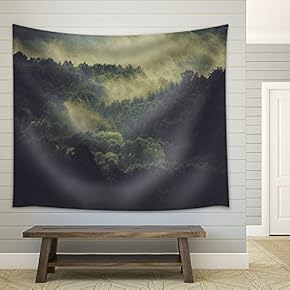 Landscape of Mist Forests - Fabric Wall Tapestry Home Decor - 51x60 inches