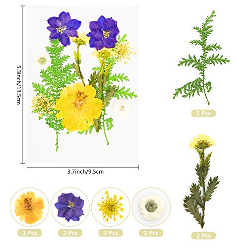 Real Dried Pressed Flowers and Leaves - 73pcs Mixed Multiple Dry Flower and Leaf with Tweezer for DIY Candel Resin Jewelry Nail Pendant Crafts Art Floral Decoration